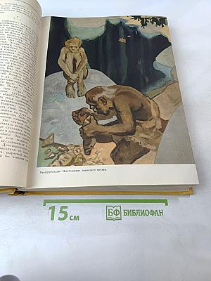 Детская Энциклопедия. Том 6. Человек