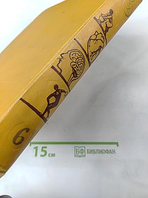 Детская Энциклопедия. Том 6. Человек