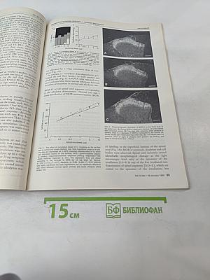 Neuroreport Volume 10 Number 1