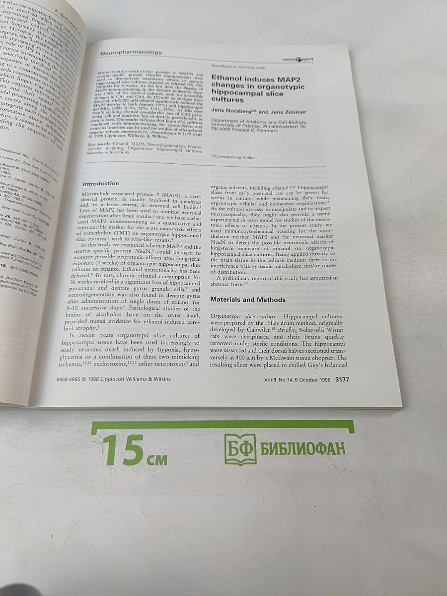 NeuroReport: An International Journal for the Rapid Communication of Research in Neuroscience, Volume 9 Number 14