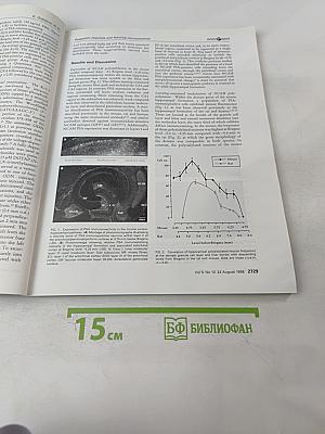 NeuroReport: An International Journal for the Rapid Communication of Research in Neuroscience, Volume 9, Number 12