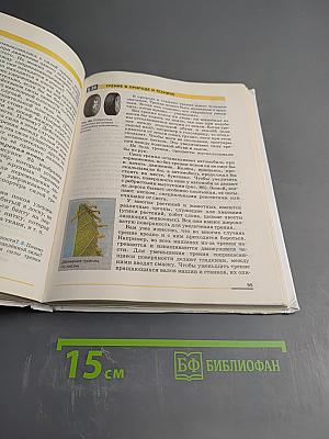 Физика 7 класс