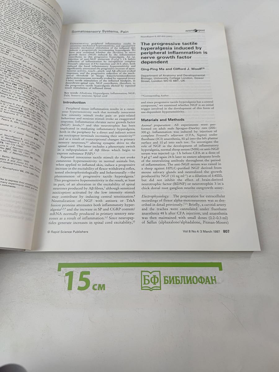 NeuroReport: An International Journal for the Rapid Communication of Research in Neuroscience, Volume 8 Number 4