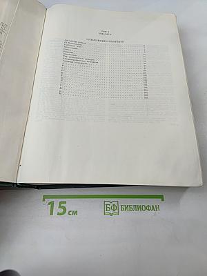 Большой англо-русский словарь. Том 1