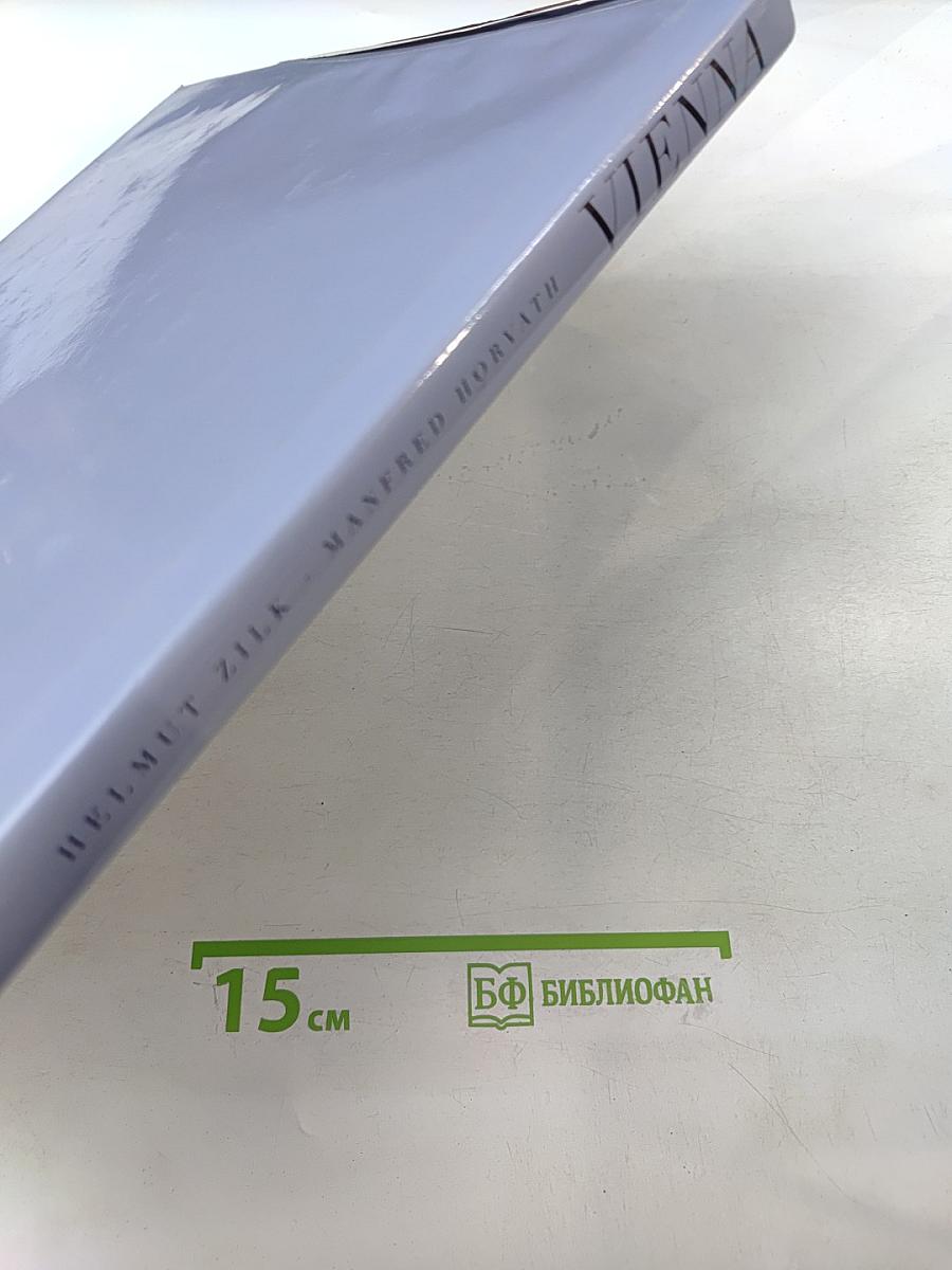 Vienna: Portrait of a Metropoly