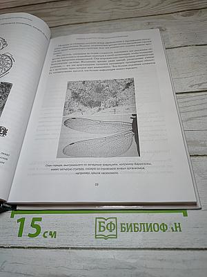 Мир математики 10: Новый взгляд на мир. Фрактальная геометрия