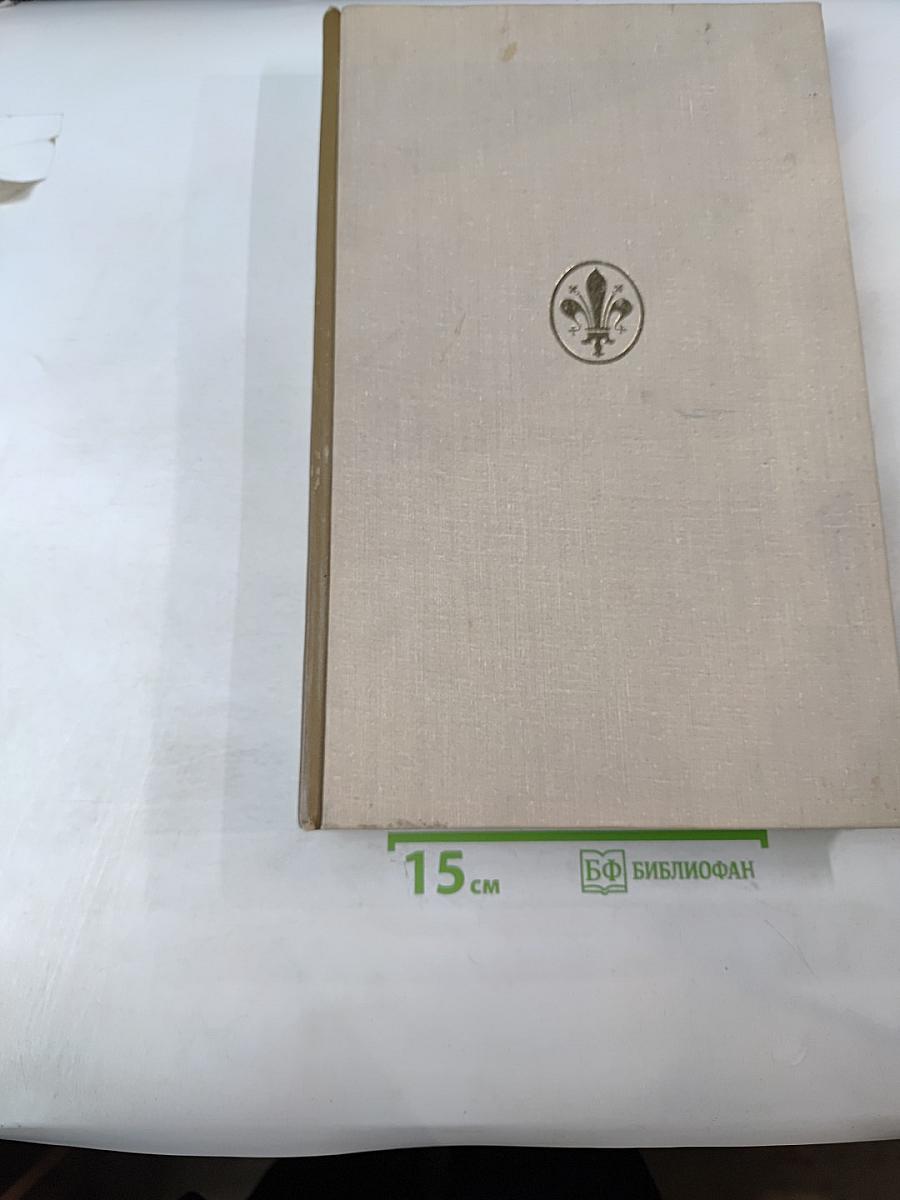 Художественные проблемы итальянского Возрождения