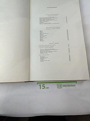 Художественные проблемы итальянского Возрождения