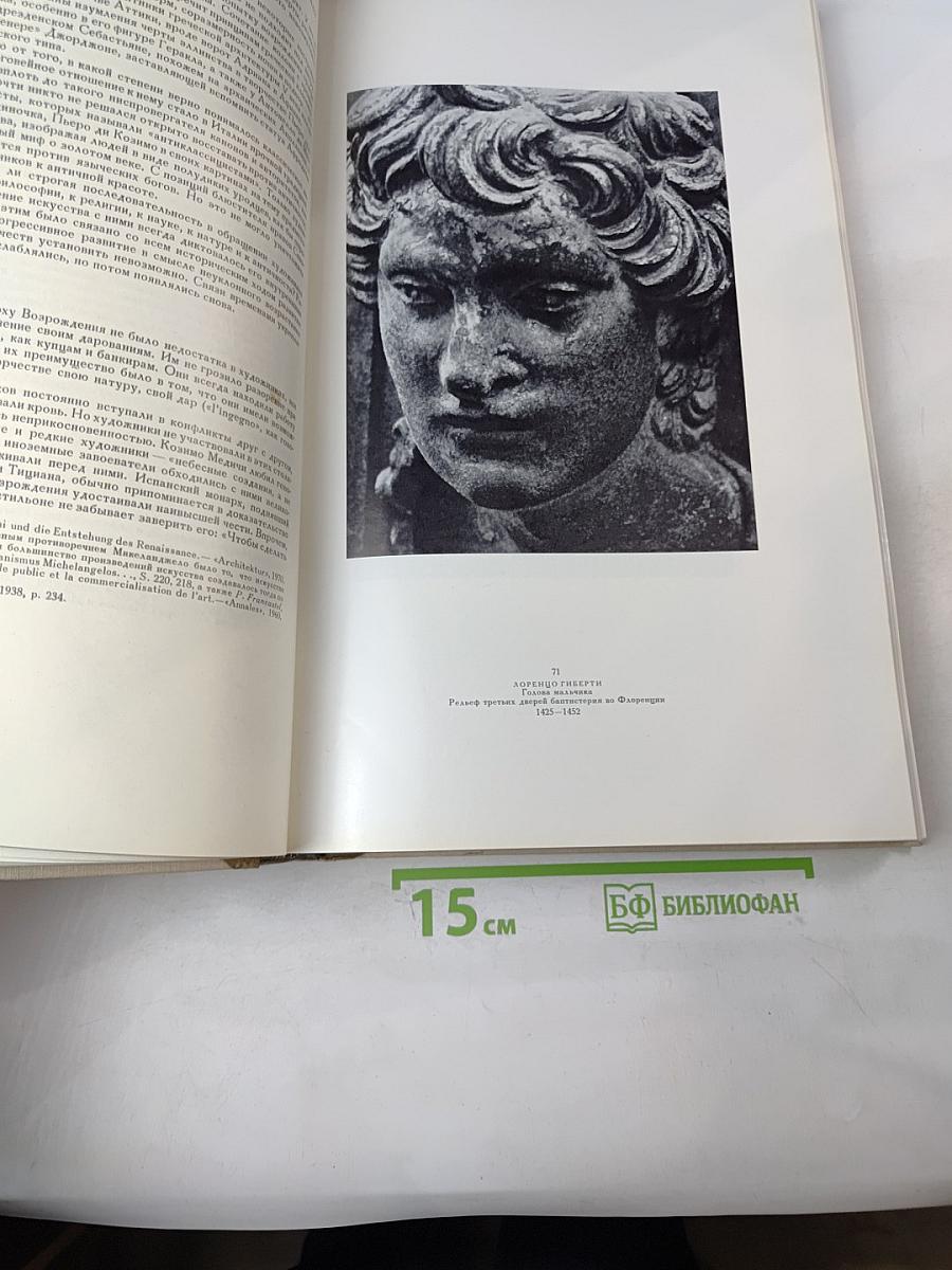 Художественные проблемы итальянского Возрождения