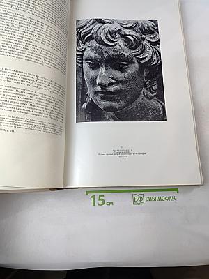 Художественные проблемы итальянского Возрождения