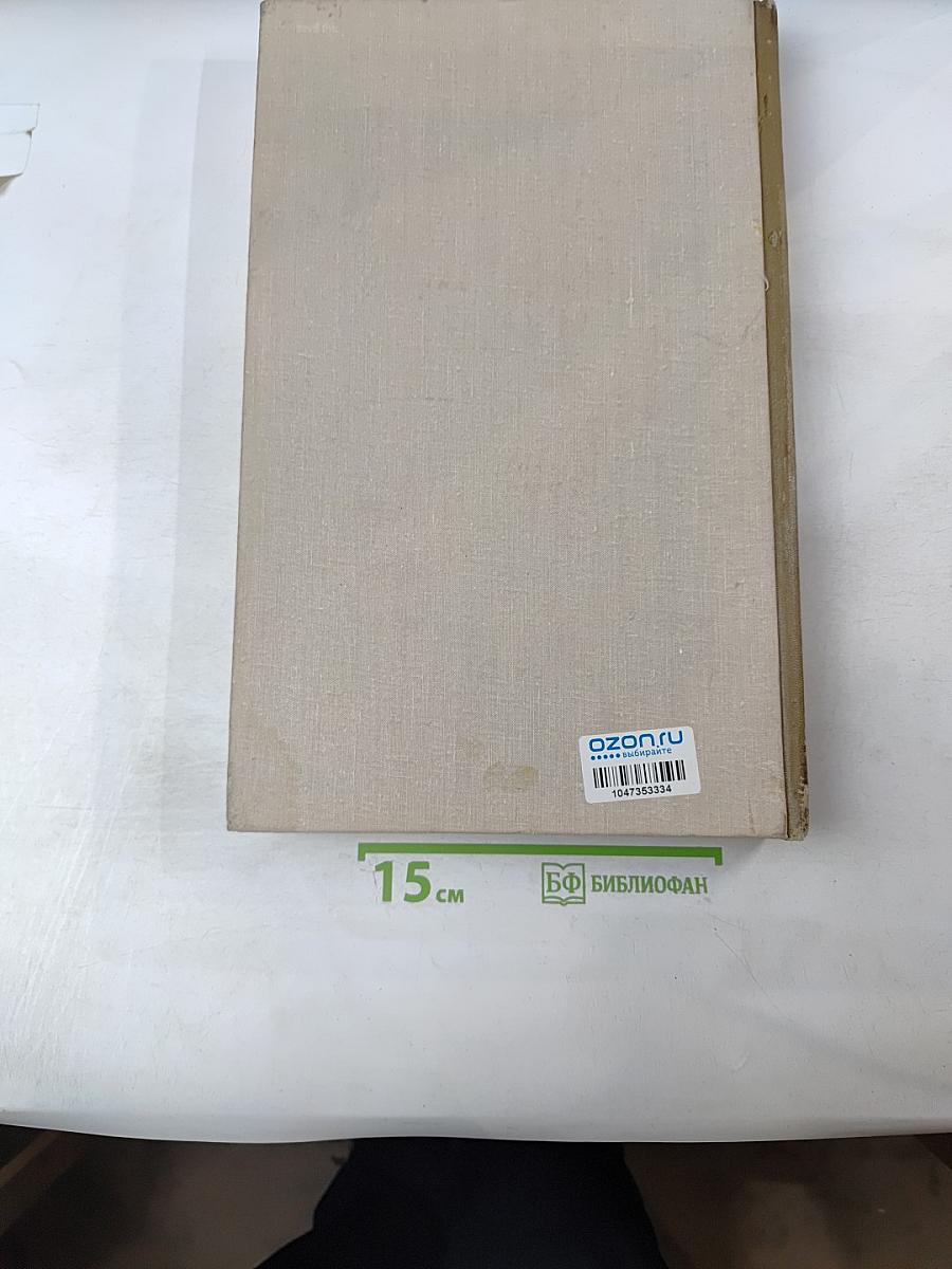 Художественные проблемы итальянского Возрождения