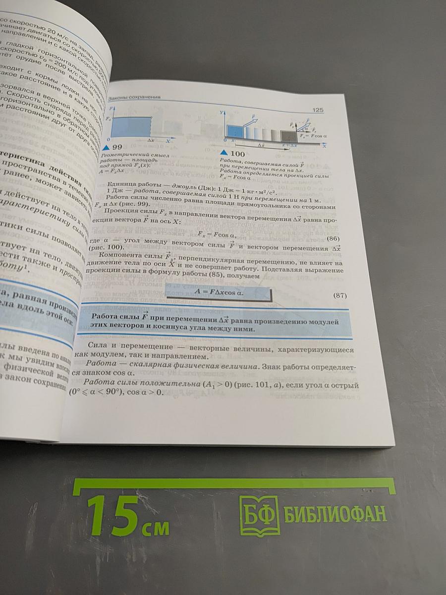 Физика 10 класс. Углубленный уровень