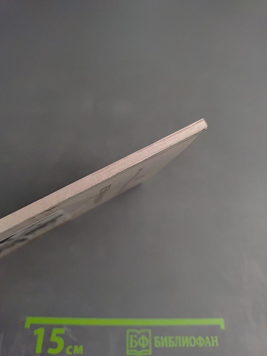 Russian Psychophysiologists. Essays