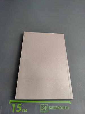 Russian Psychophysiologists. Essays