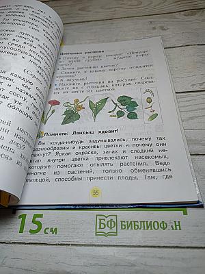 Окружающий мир 2 класс, Часть вторая