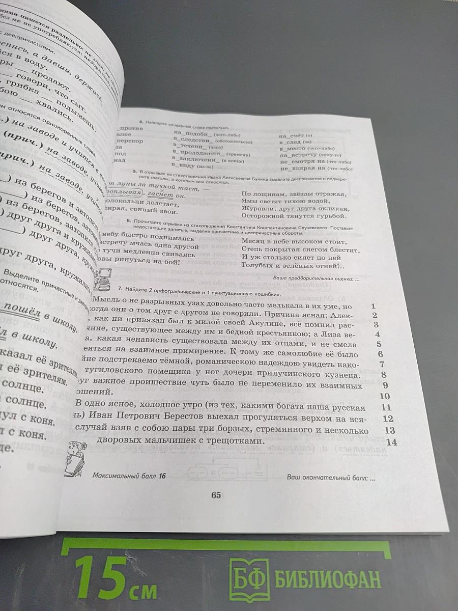 К пятёрке шаг за шагом, или 50 занятий с репетитором. Русский язык 7 класс