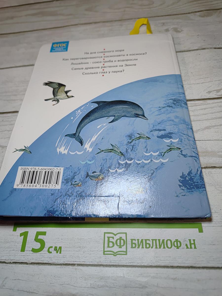 Окружающий мир 2 класс, Часть вторая