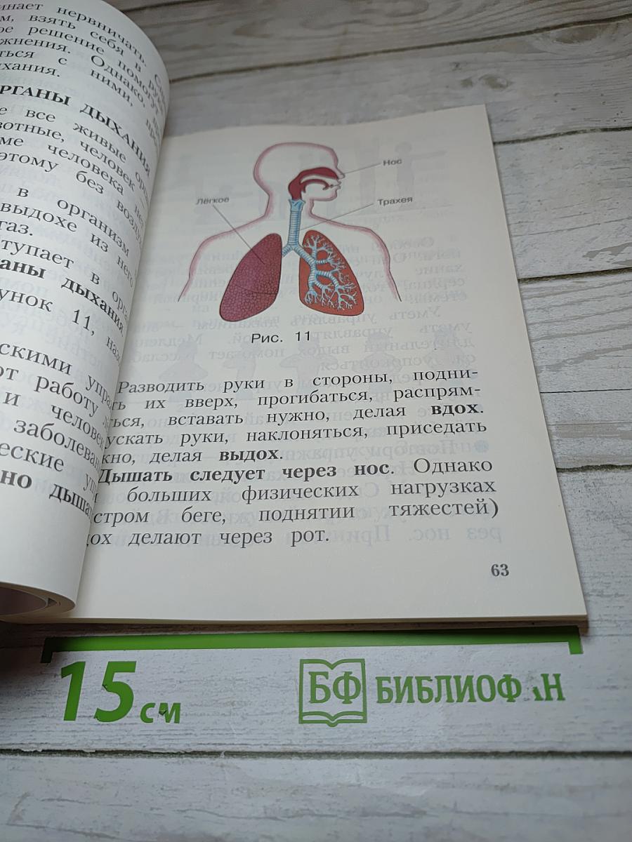Физическая культура 1-4 классы
