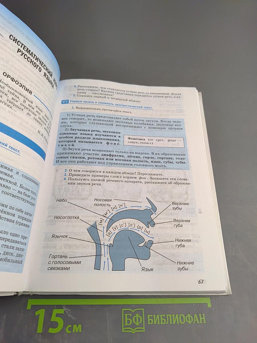 Русский язык 5 класс