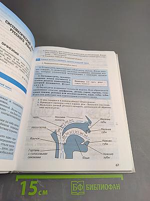 Русский язык 5 класс