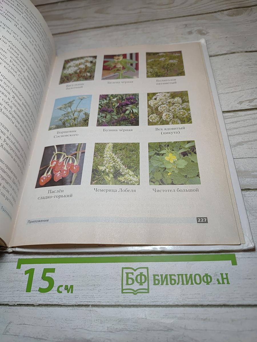 Основы безопасности жизнедеятельности для 6 класса