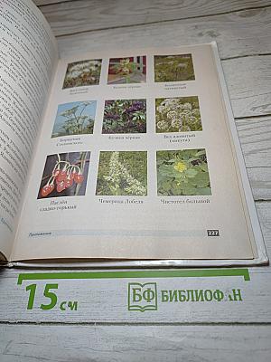 Основы безопасности жизнедеятельности для 6 класса