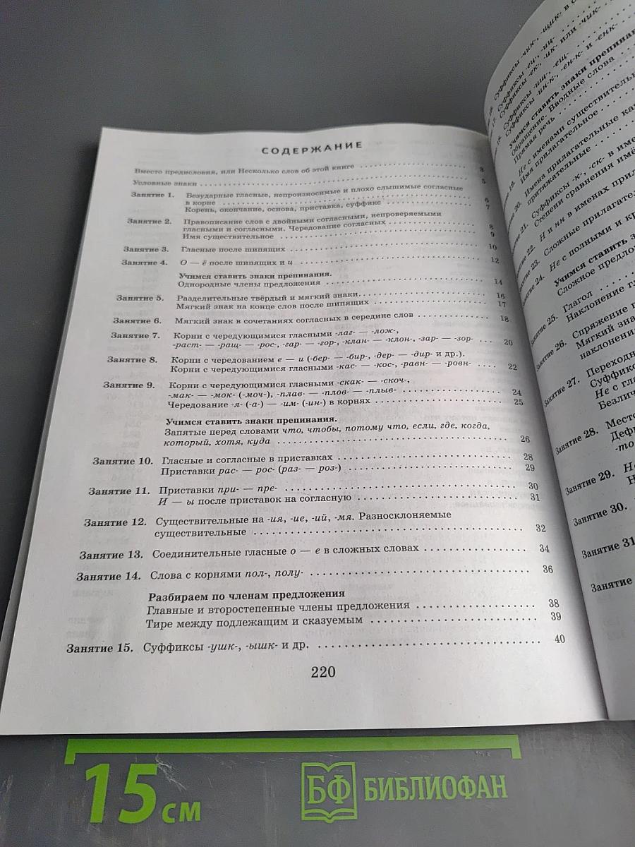 К пятёрке шаг за шагом, или 50 занятий с репетитором. Русский язык 6 класс