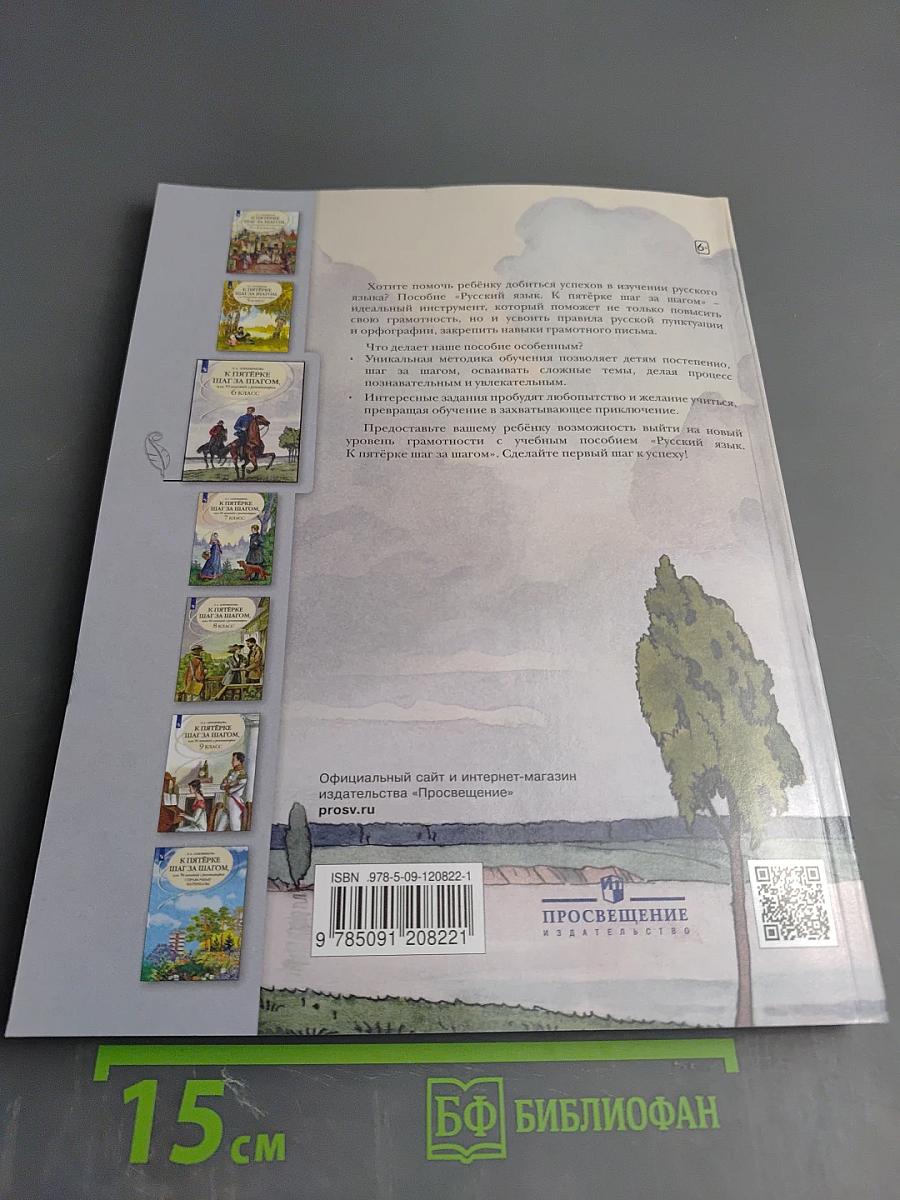 К пятёрке шаг за шагом, или 50 занятий с репетитором. Русский язык 6 класс