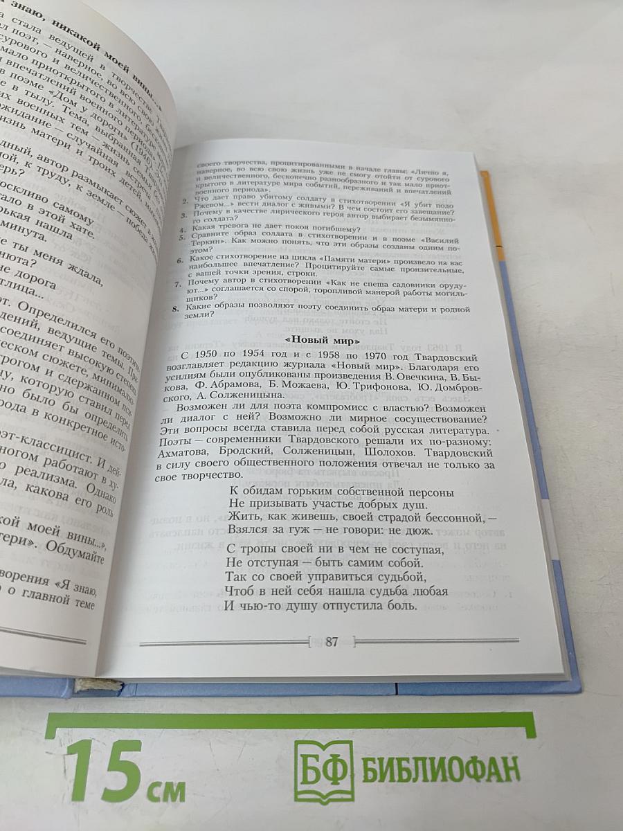 Литература 11 класс. Часть вторая