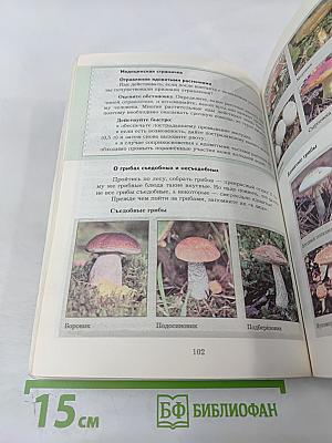 Основы безопасности жизнедеятельности 7-9 классы