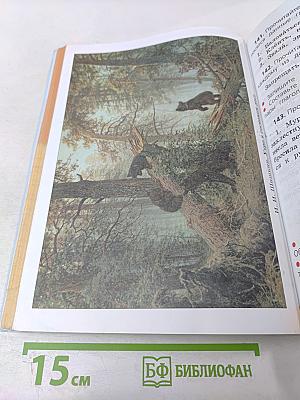 Русский язык. 2 класс. Часть 2