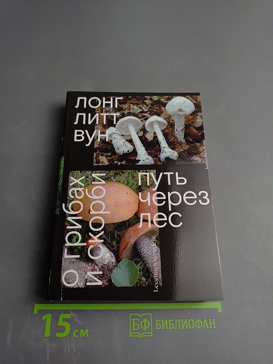 Путь через лес. О грибах и скорби