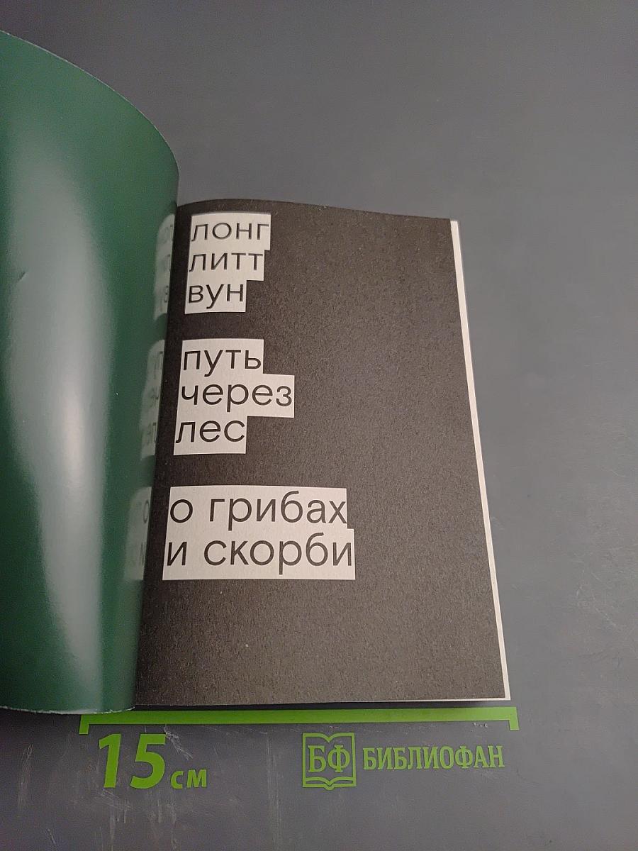 Путь через лес. О грибах и скорби