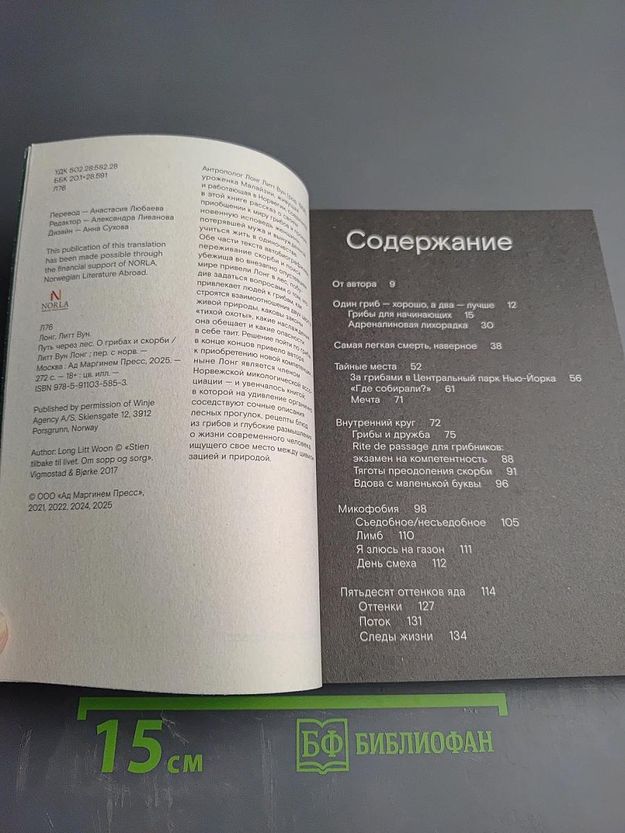 Путь через лес. О грибах и скорби