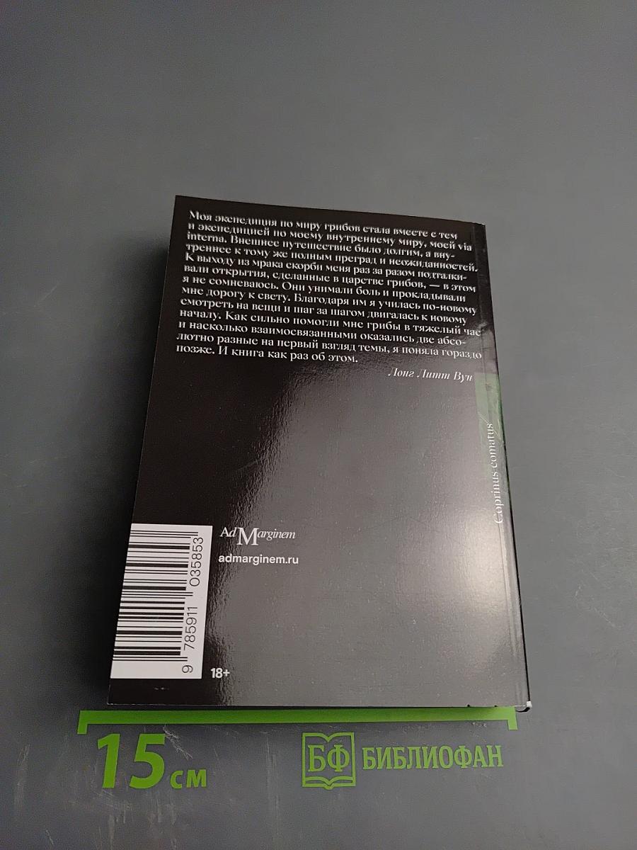 Путь через лес. О грибах и скорби