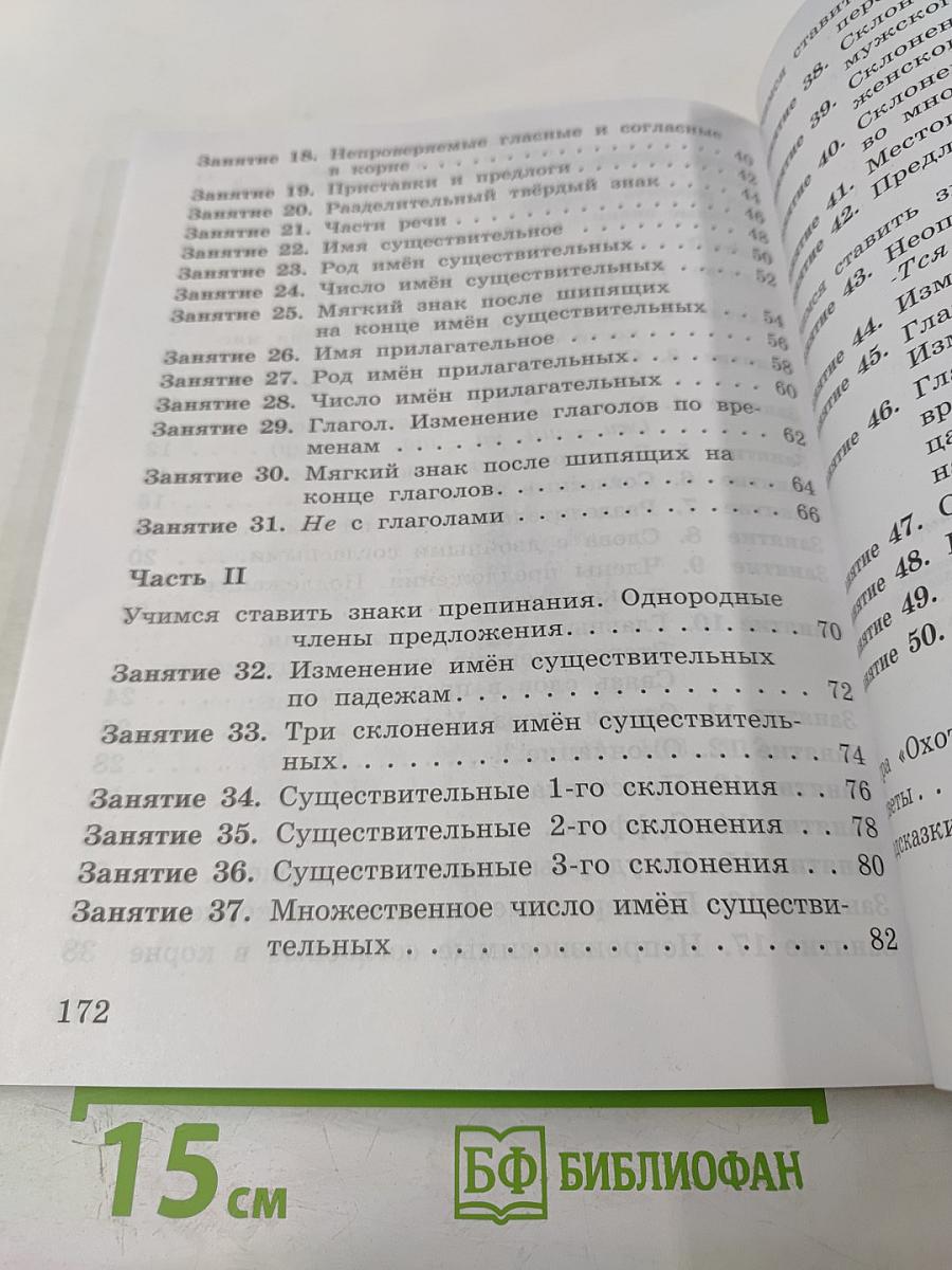 К пятёрке шаг за шагом, или 50 занятий с репетитором. Русский язык. 2-4 классы