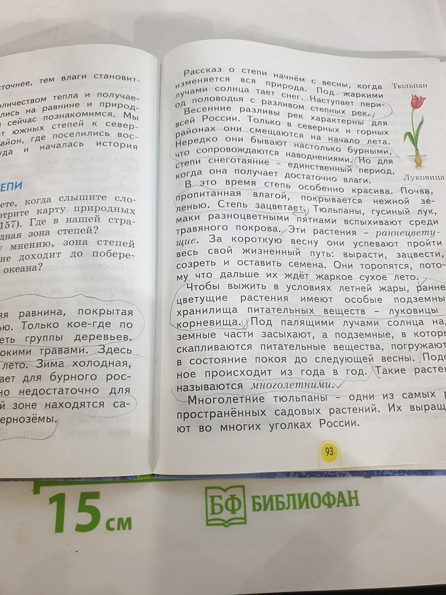 Окружающий мир 3 класс Часть первая