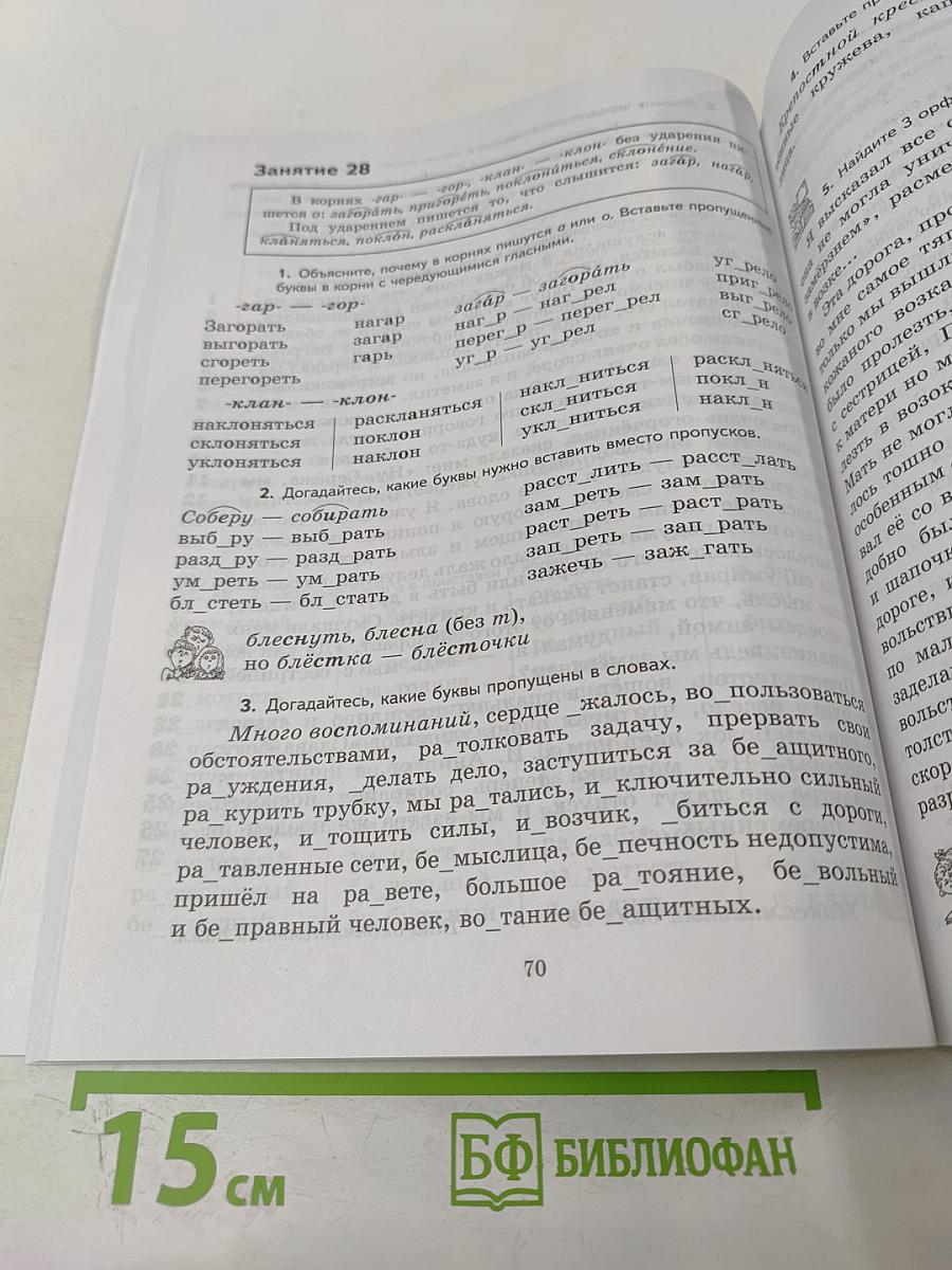 К пятёрке шаг за шагом, или 50 занятий с репетитором. Русский язык 5 класс