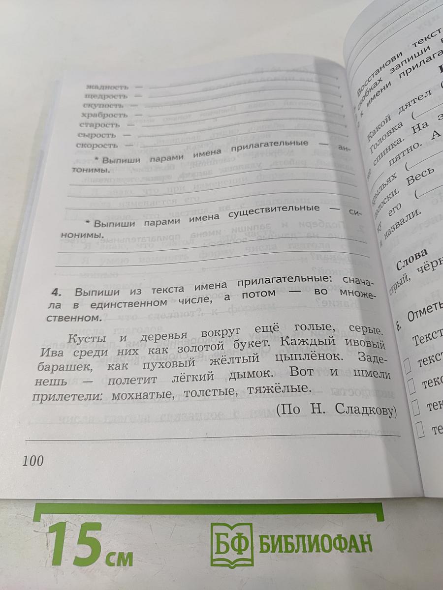 Русский язык. Предварительный контроль Текущий контроль Итоговый контроль. 2 класс