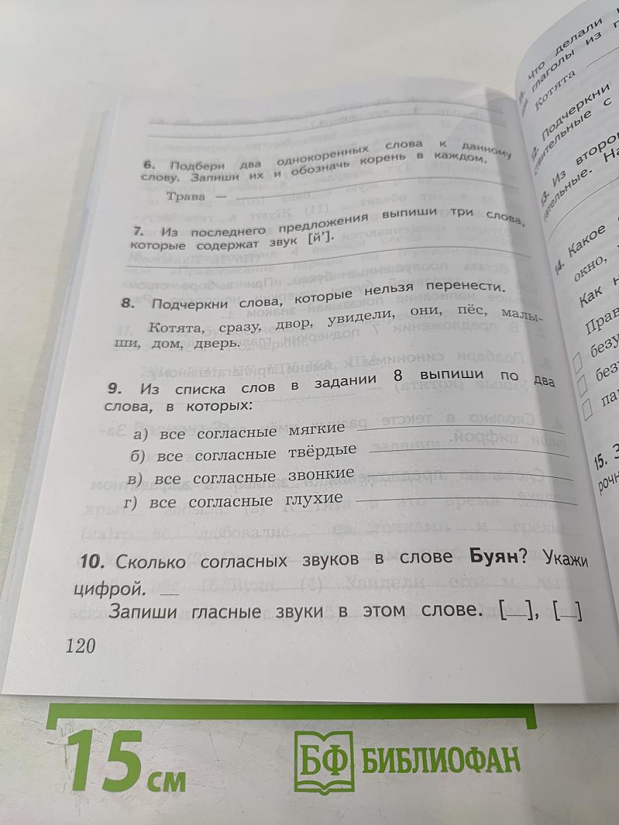 Русский язык. Предварительный контроль Текущий контроль Итоговый контроль. 2 класс