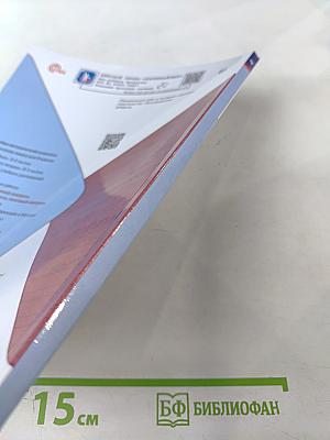 Русский язык. Предварительный контроль Текущий контроль Итоговый контроль. 2 класс