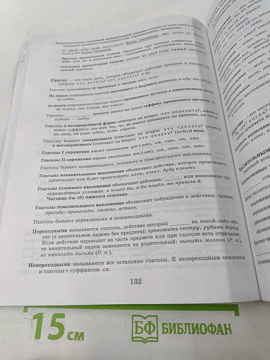 К пятёрке шаг за шагом, или 50 занятий с репетитором Русский язык 6 класс