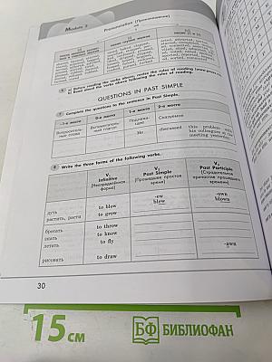 Английский в фокусе. Английский язык. 7 класс. Грамматический тренажёр