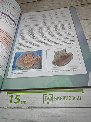 Химия 8 класс