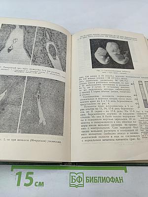 Патофизиология внутриутробного развития