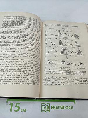 Кортико-висцеральная теория патогенеза язвенной болезни
