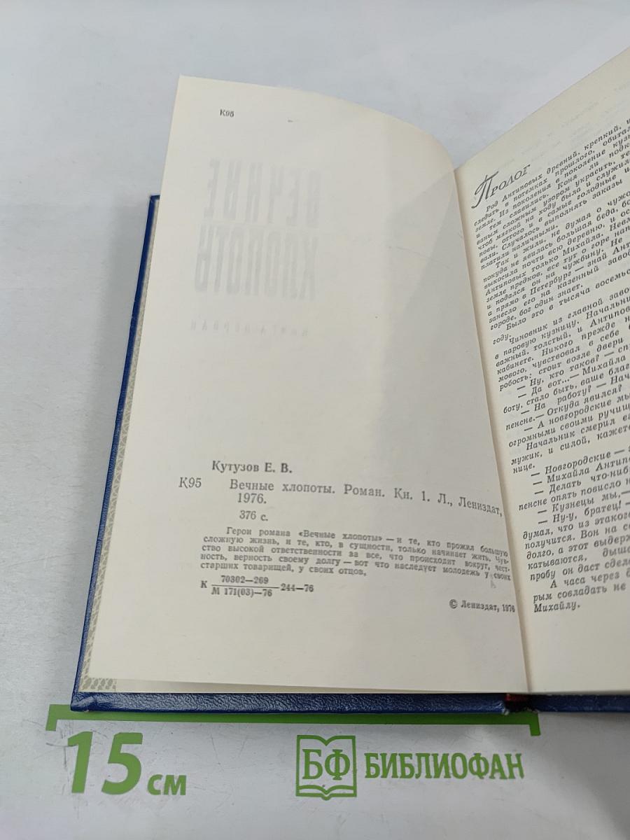 Вечные хлопоты. Книга первая