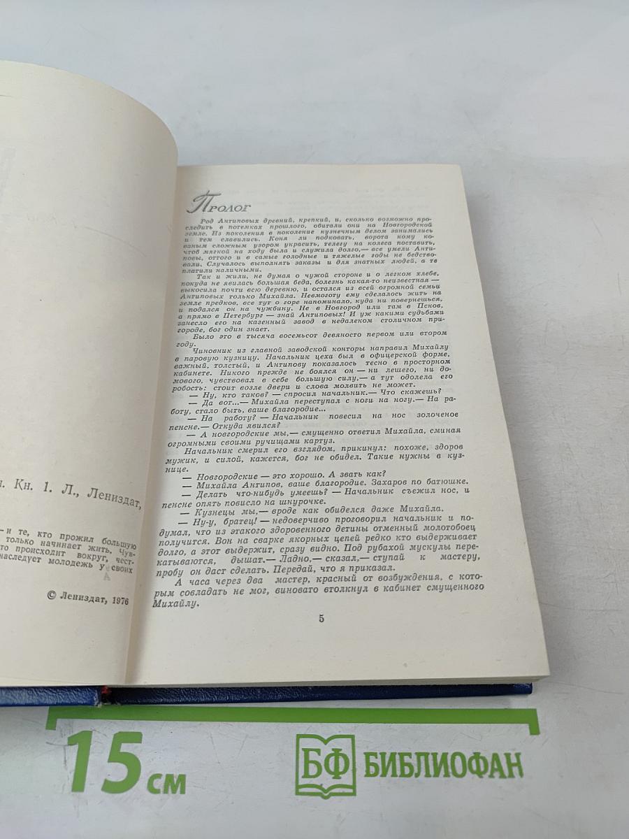 Вечные хлопоты. Книга первая