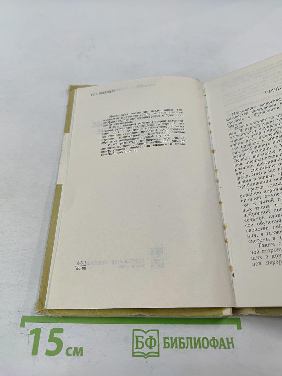 Функциональное моделирование нервной системы