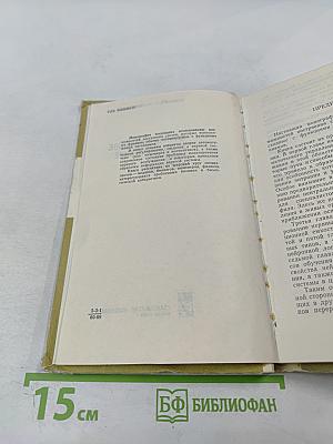 Функциональное моделирование нервной системы